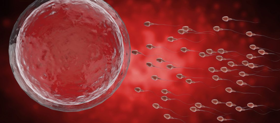 AdobeStock_133465840 (1)