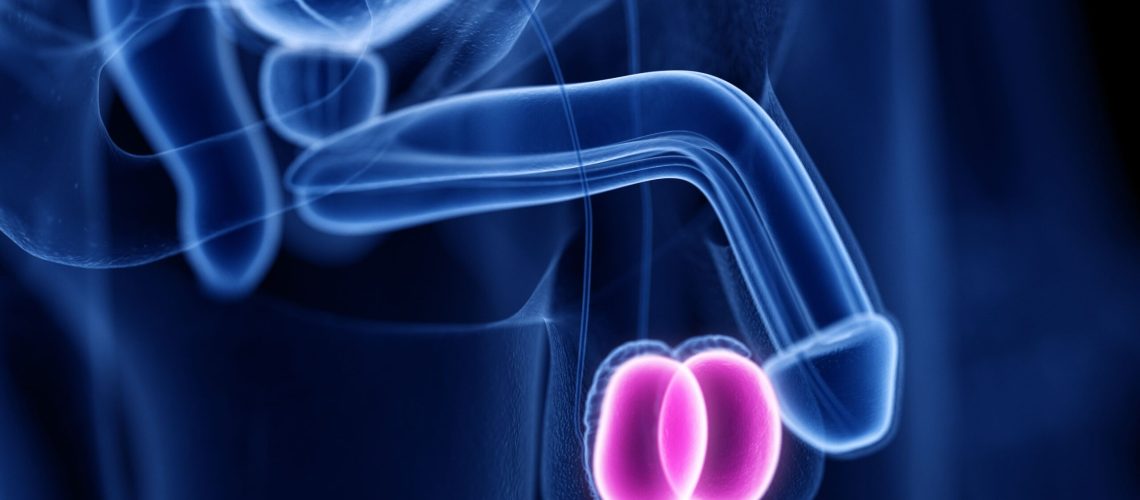 AdobeStock_282258707 (1)