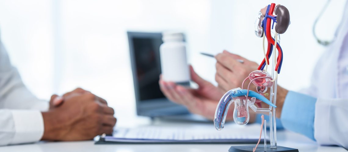 Doctor hands holding sectional model of prostate gland while male patient observes, suggesting discussion about prostate cancer, cystitis, urinary tract infection, potential medicines for treatment.
